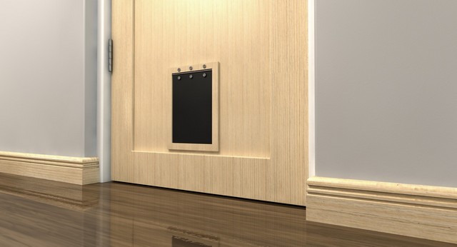 Cat Flap Installation Deptford, SE8