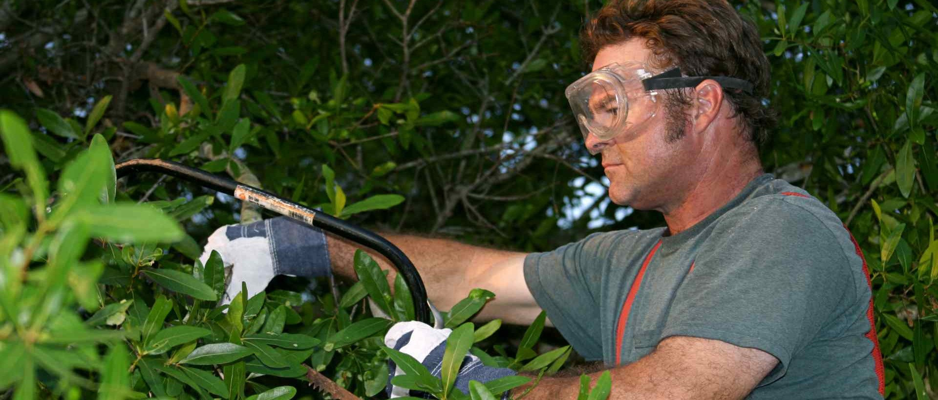 garden clearance SE8